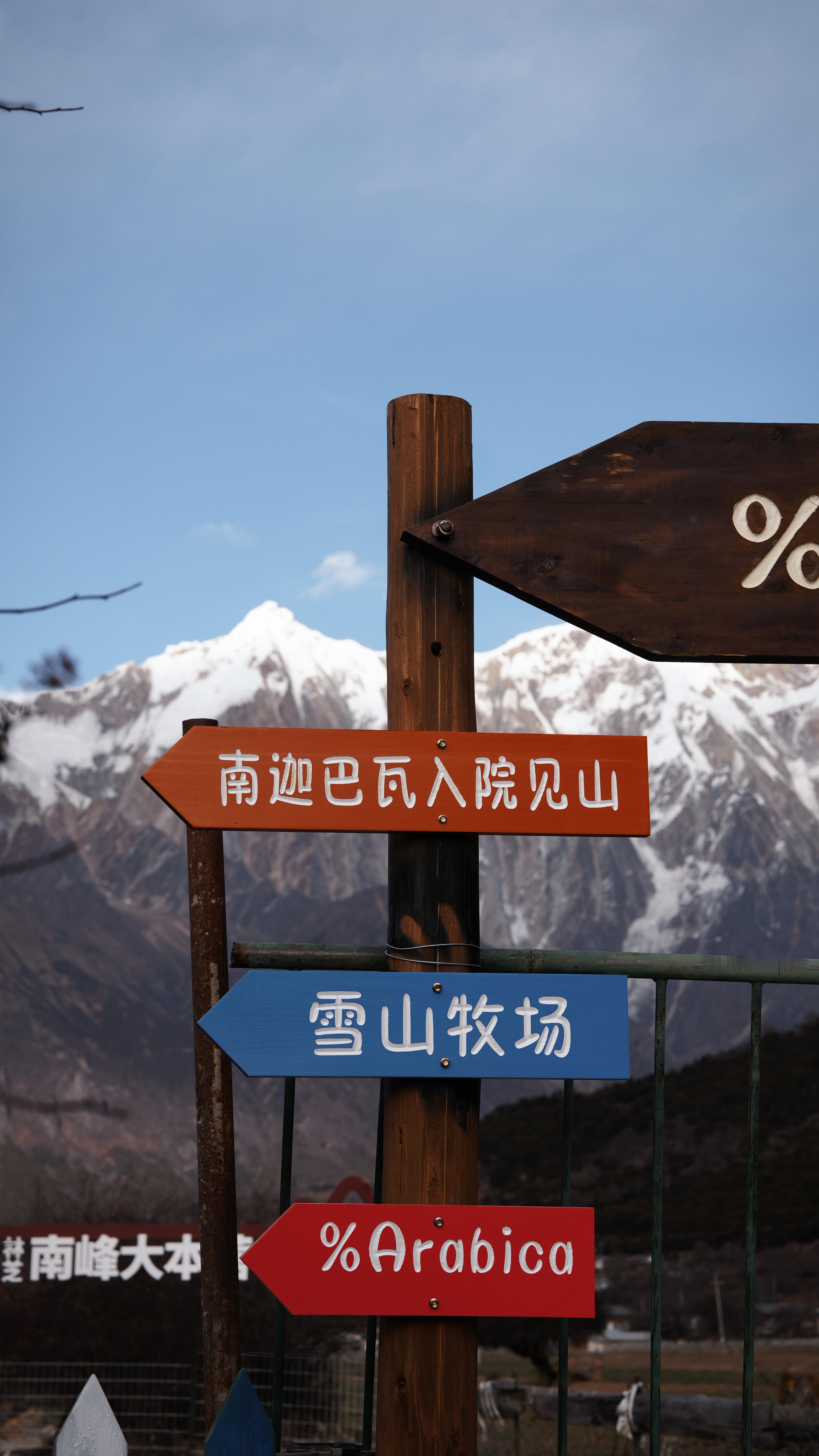 雅鲁藏布大峡谷里，有一家“阿里巴巴”咖啡店，不过它冬季是不营业的，来年3月营业到