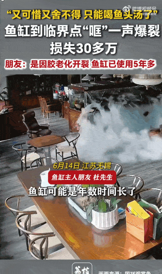 太惨了！6月14日荔枝新闻报道，江苏无锡，一男子家的大型鱼缸在装满整整4吨水后，