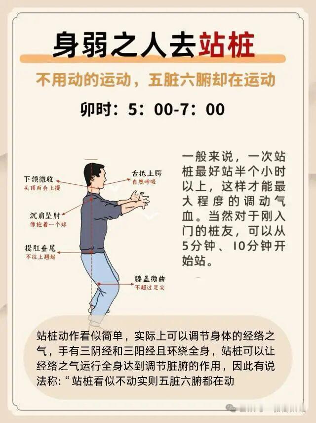 每天10分钟站桩｜能量满满的秘诀！不站桩真的太后悔了！！后悔没有早点开始站桩💫