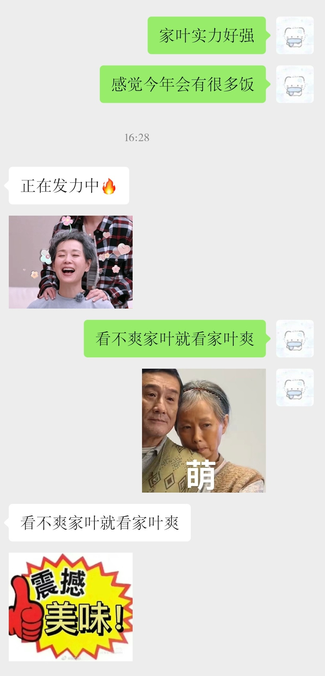 看不爽家叶就看家叶爽