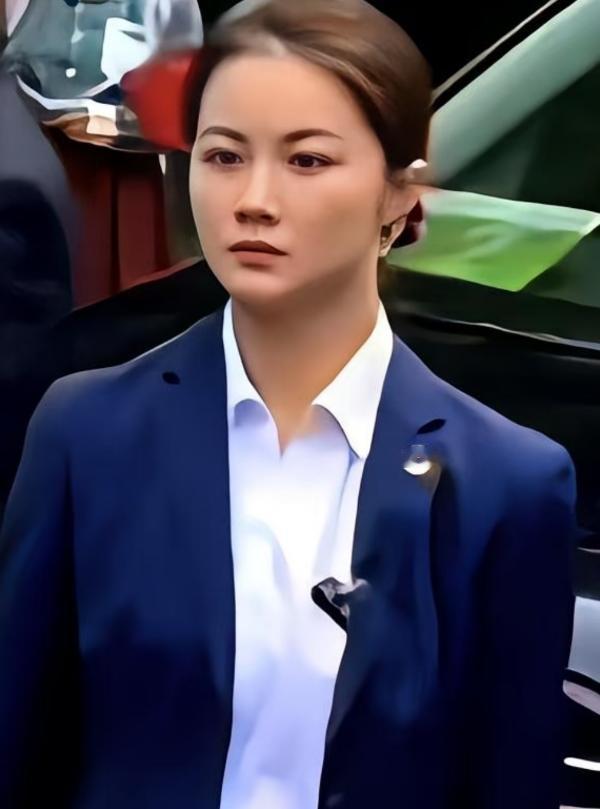 郑丽文从大陆回去后，在节目里絮絮叨叨念叨的，居然不是什么大好河山，而是大陆的安保