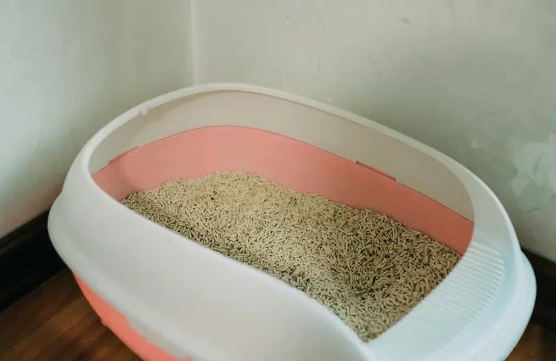 猫咪的事儿真的太让人感慨了。之前看到一只浑身带火冲进店铺求助的猫咪，这得多绝望才