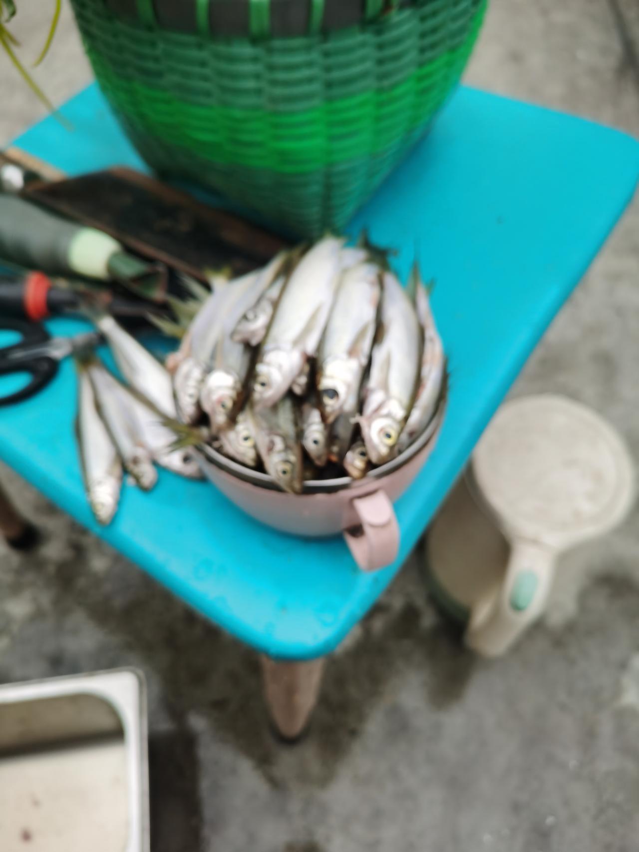 明天就进入腊月了，准备一道硬菜。