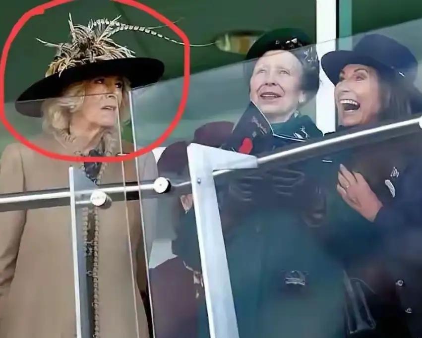 继凯特后，卡米拉又遇一劲敌？这人是谁呢？她是凯特的妈妈，也是助力女王登上王妃