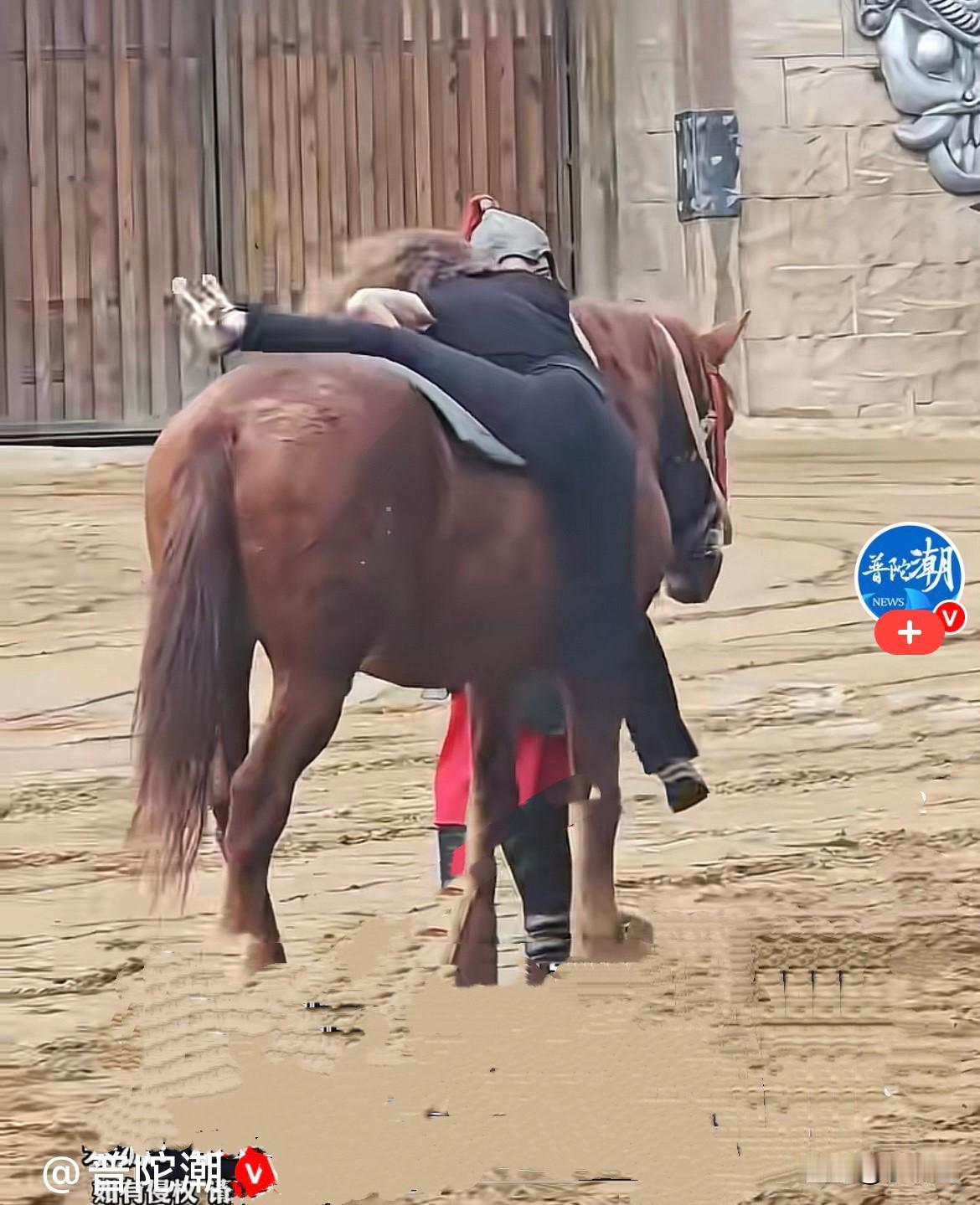 太逗了……近日，河南一游乐场里，一名女子准备体验骑马，上马之前气场直接拉满仪式