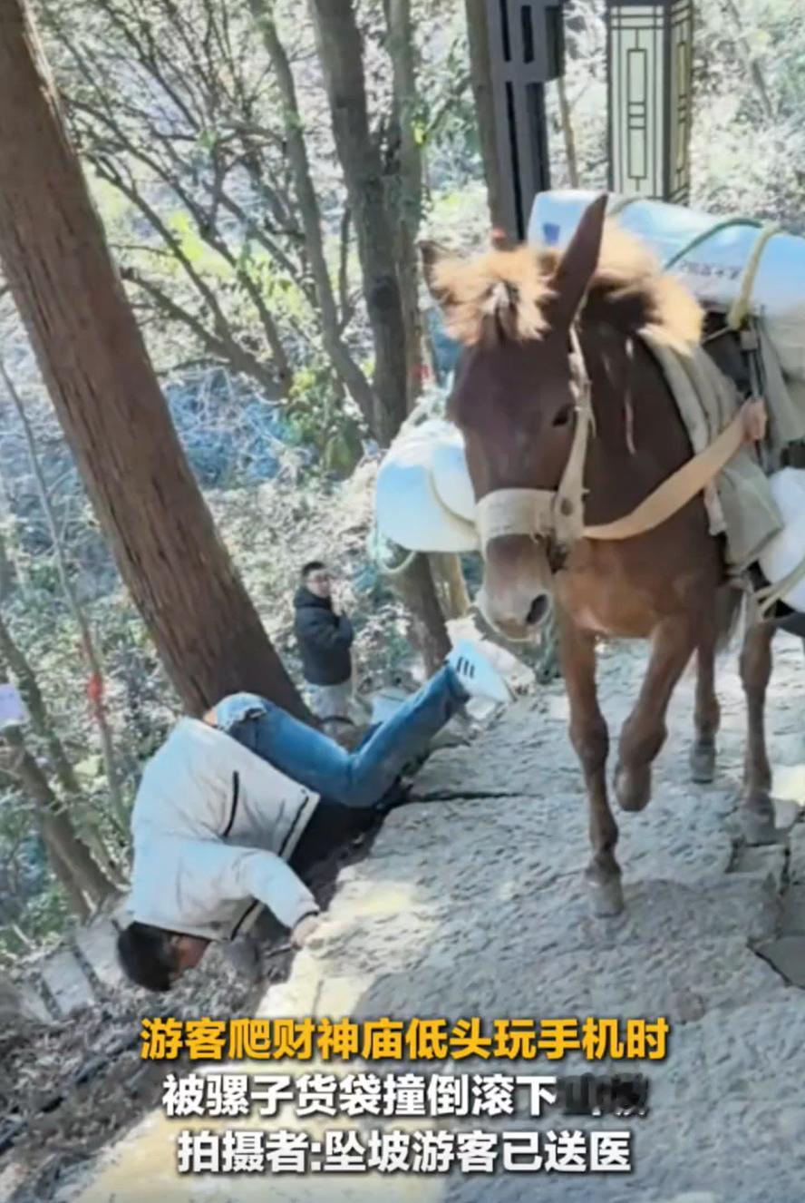 这也太倒霉了！浙江杭州，男子去天下第一财神庙景区登山，结果站在头破边上玩手机时，