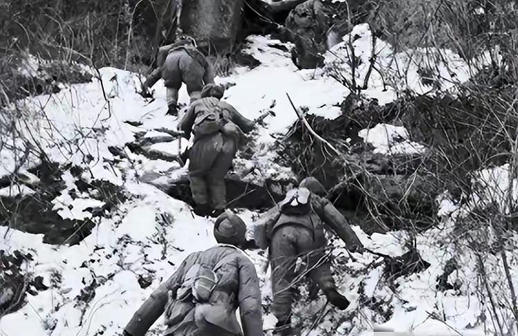 1950年志愿军偶遇美军无人重炮阵地，营长改命令的背后全是战场实情。这事得从