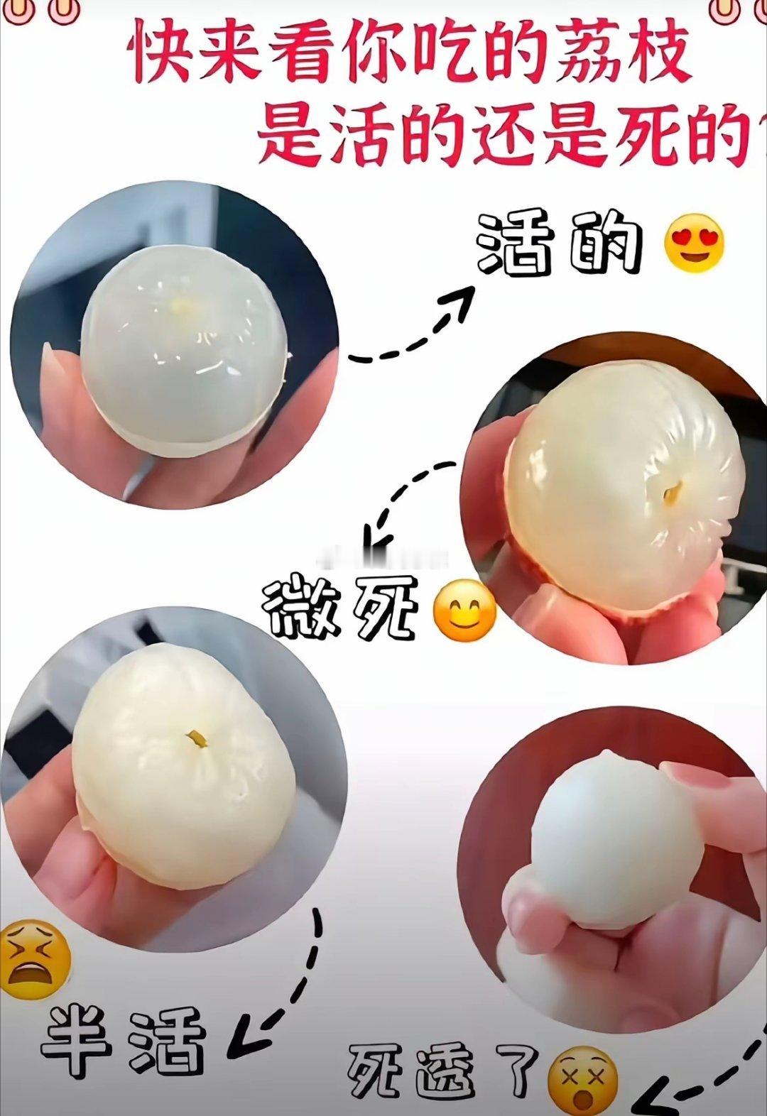 冷知识:我的省份吃的荔枝都是死的，你的省份呢？