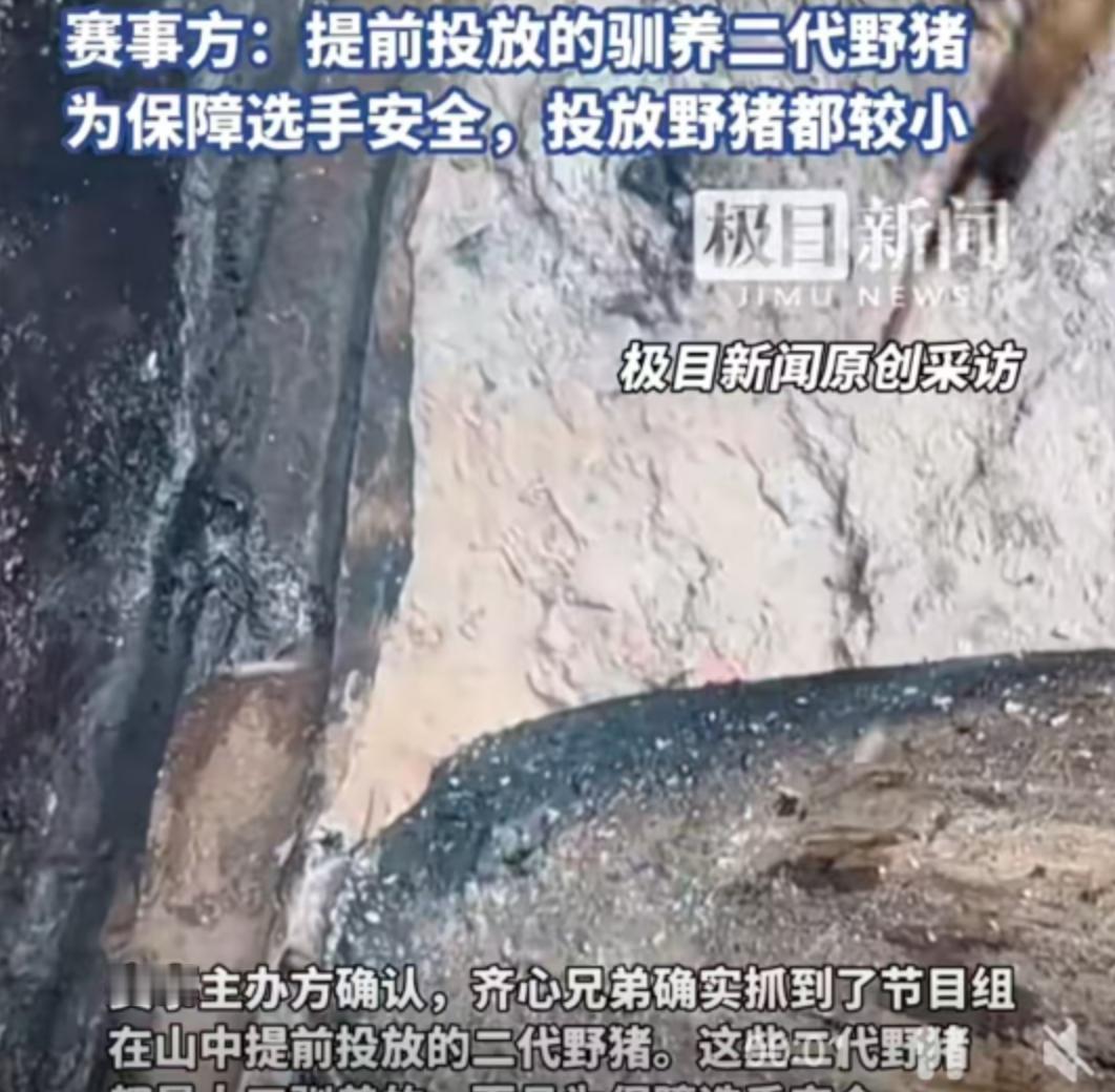 11月8日，湖南张家界七星山，深秋的雾气缠绕着绝壁。就在这片以险峻和原始著称的山