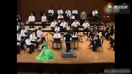 二胡独奏 红楼梦.葬花吟 演奏 李维君
