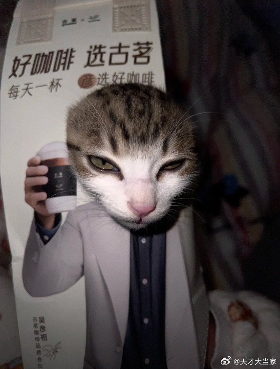 咪（三分讥笑七分凉薄）：人类，来请你喝咖啡了！我的幽默灵感片场人间值得有欢喜