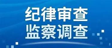 近几年各地纪委监委工作量暴涨，巡查、督查、专项整治常态化，老力量根本扛不住，于是