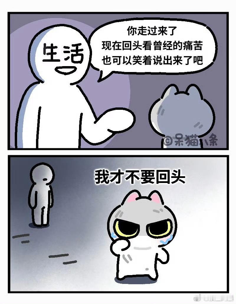 找的是这张图，倔强小猫