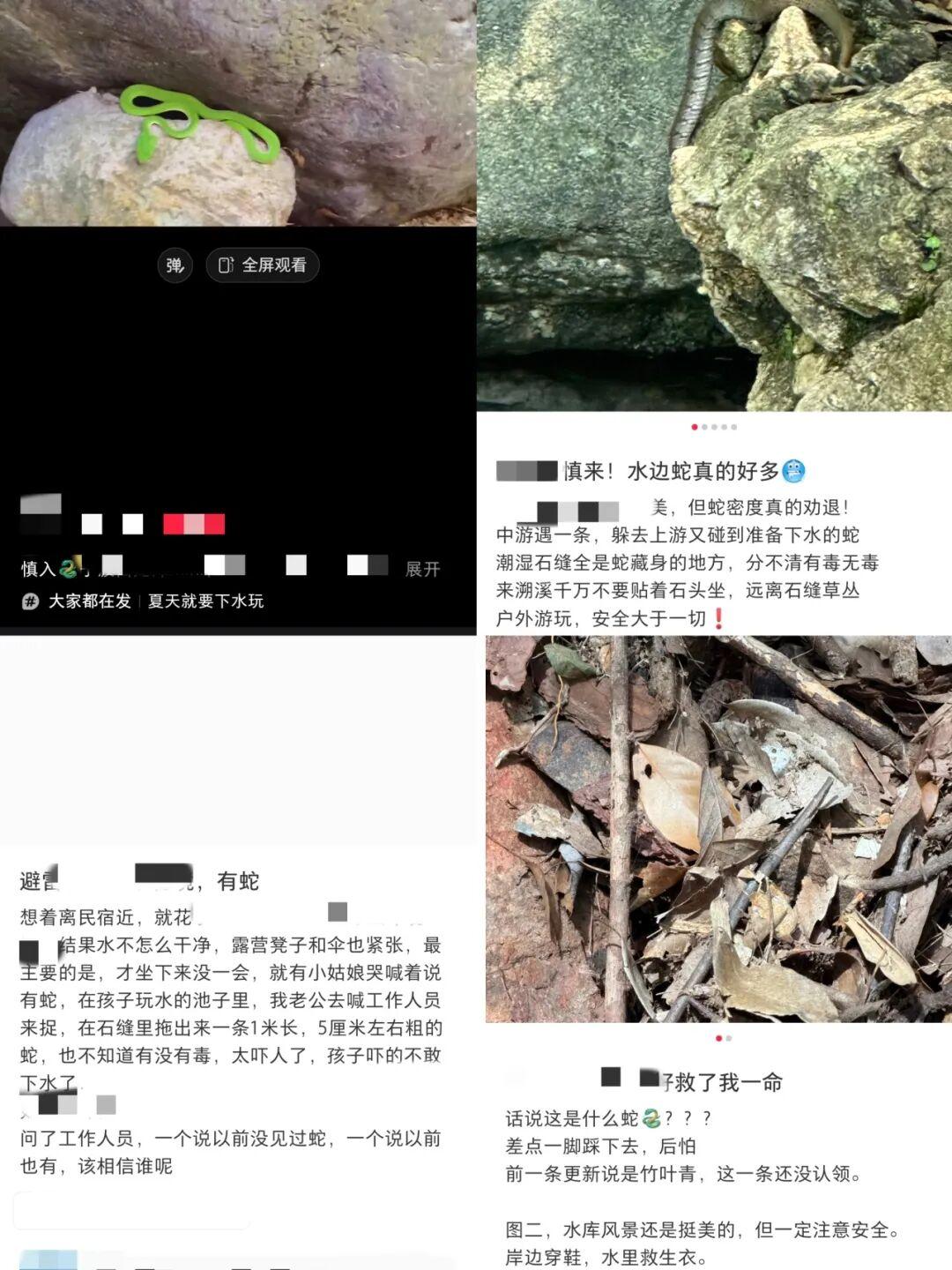 太犟了！浙江杭州，一52岁男子在地里被毒蛇咬穿左小腿后，非但没立即就医拍照，反倒