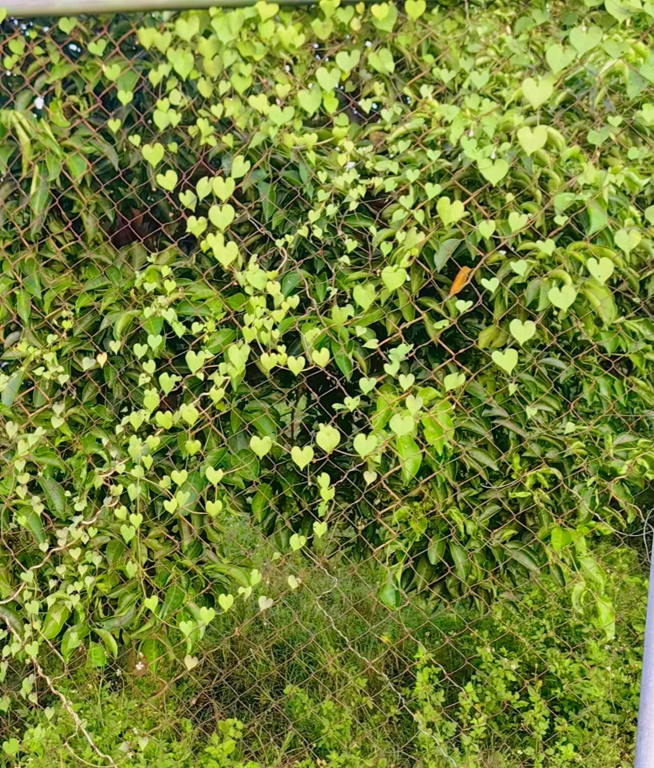 刘震云：）当你混到四十，还一事无成，不要气馁，40岁只是人生的开始！过去怎么过