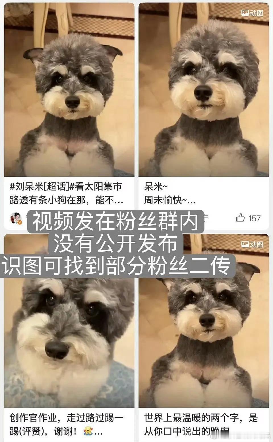 曝刘宇宁宋祖儿同款地板家具疑似刘宇宁宋祖儿同款地板家具前段时间，刘宇宁宋祖儿被