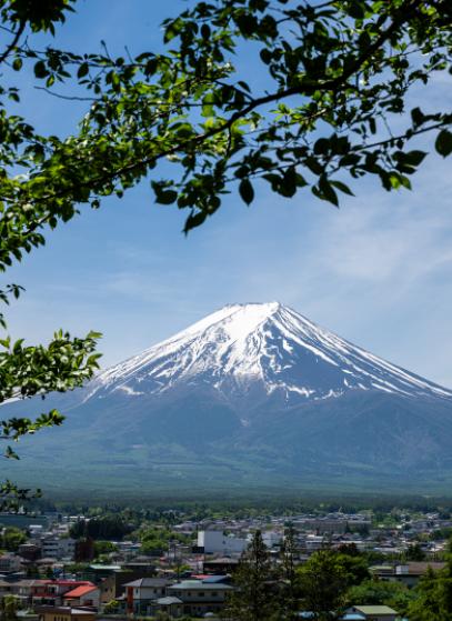 5月30日，有个日本人在推特上发文质疑："我想问问中国人，明明讨厌日本，却为什么