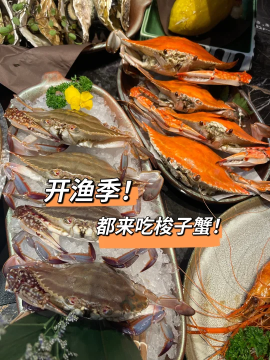 🦀️一绪梭子蟹自由！自助餐终于吃回本了❗️