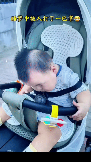秋天蚊子又多又毒，娃在婴儿车里睡得正香。妈妈瞅见蚊子，为了保护娃，那打蚊子的动作