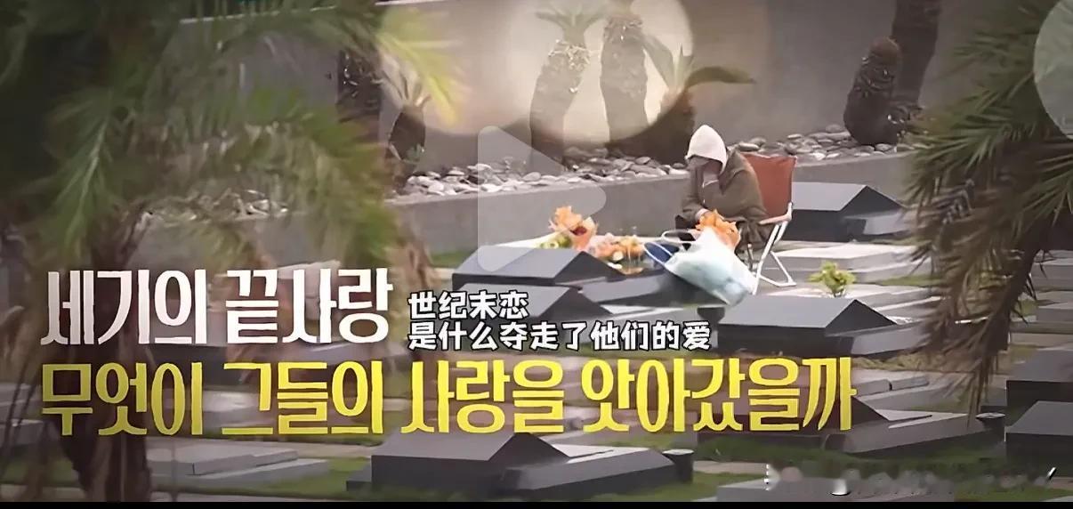 原来所谓的深情一切都是演的！大S逝世一周年之际，韩国KBS电视台的纪录片《名人生