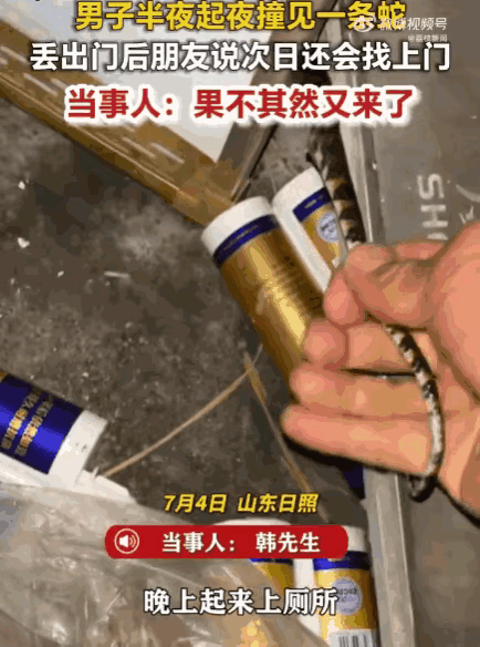 还会记仇了！山东日照，男子半夜上厕所发现家里进来一条蛇，他抓着蛇就扔到野外，朋友