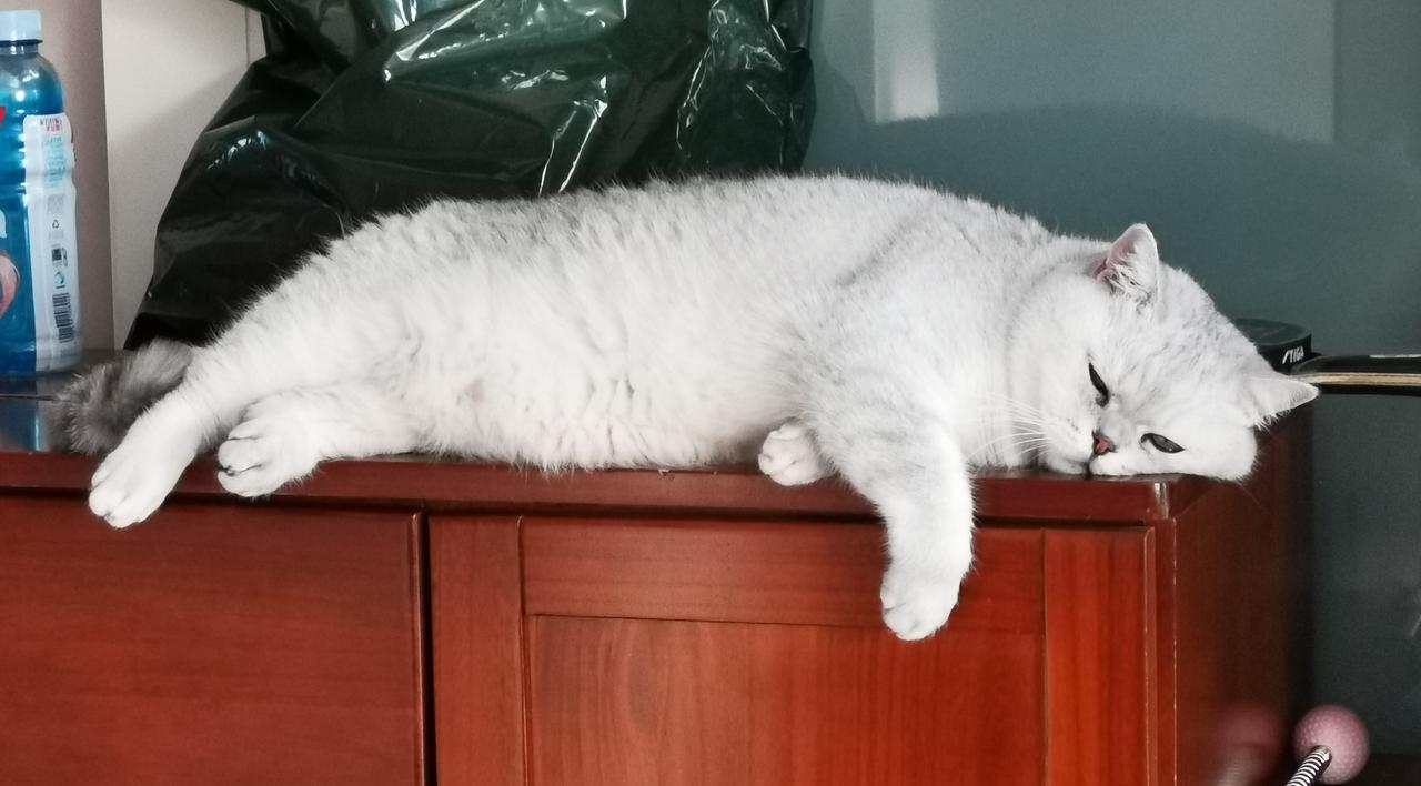 加快加大提高农民养老金步伐。大凡有农民亲戚朋友的人，都有一种对农村的繁荣和农民