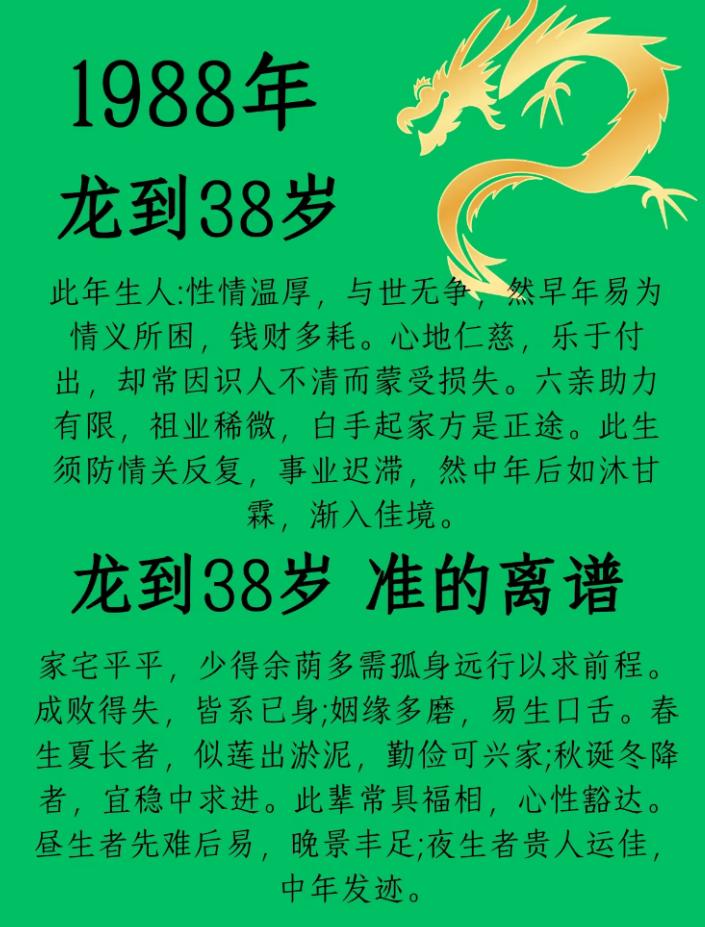 1988龙