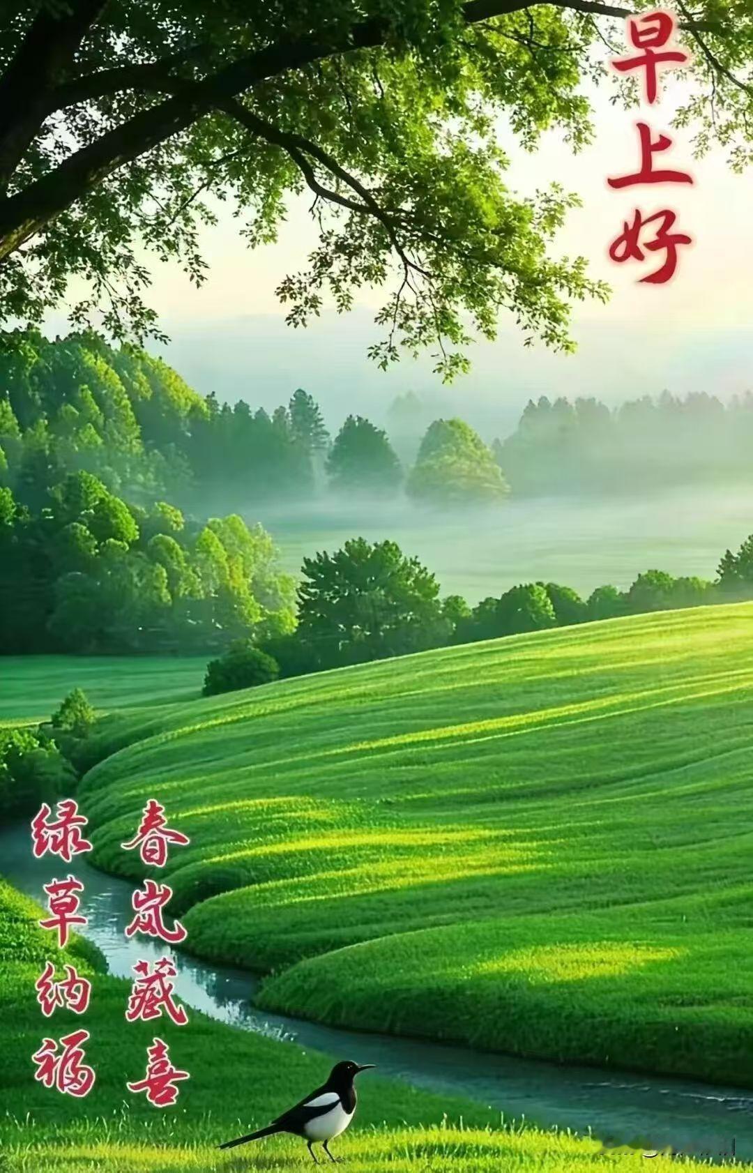 五律《春日寄怀》春深风送暖，处处百花香。遥念情难已，牵思意未央。朝