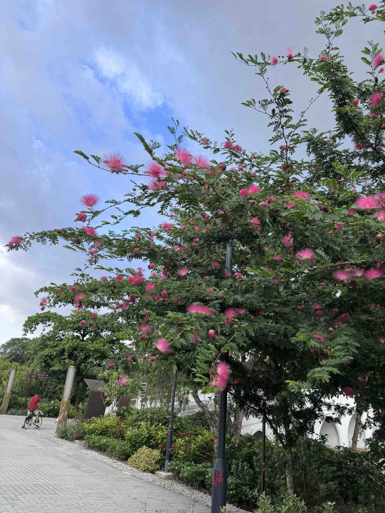 投资股票，我给自己定下铁规：不满仓，不空仓，不碰问题股，只做自己看得懂、摸得