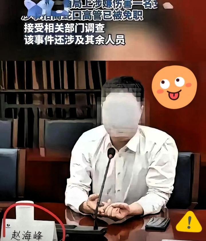 酒局之后转场KTV，发生侵害事件，有相关视频流传网络，成为案件重要线索。赵海峰