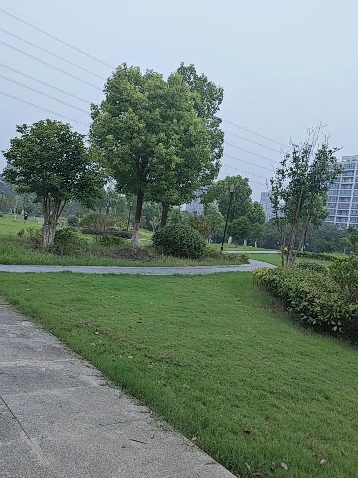 人过45一定要醒！中老年所有小病小痛，根本不是衰老，是不懂养说句无数老人不