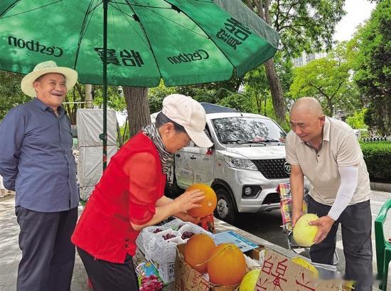 兰州便民瓜果摊正式开摊6月15日，兰州市2026应季自产自销瓜果临时摊全面开市