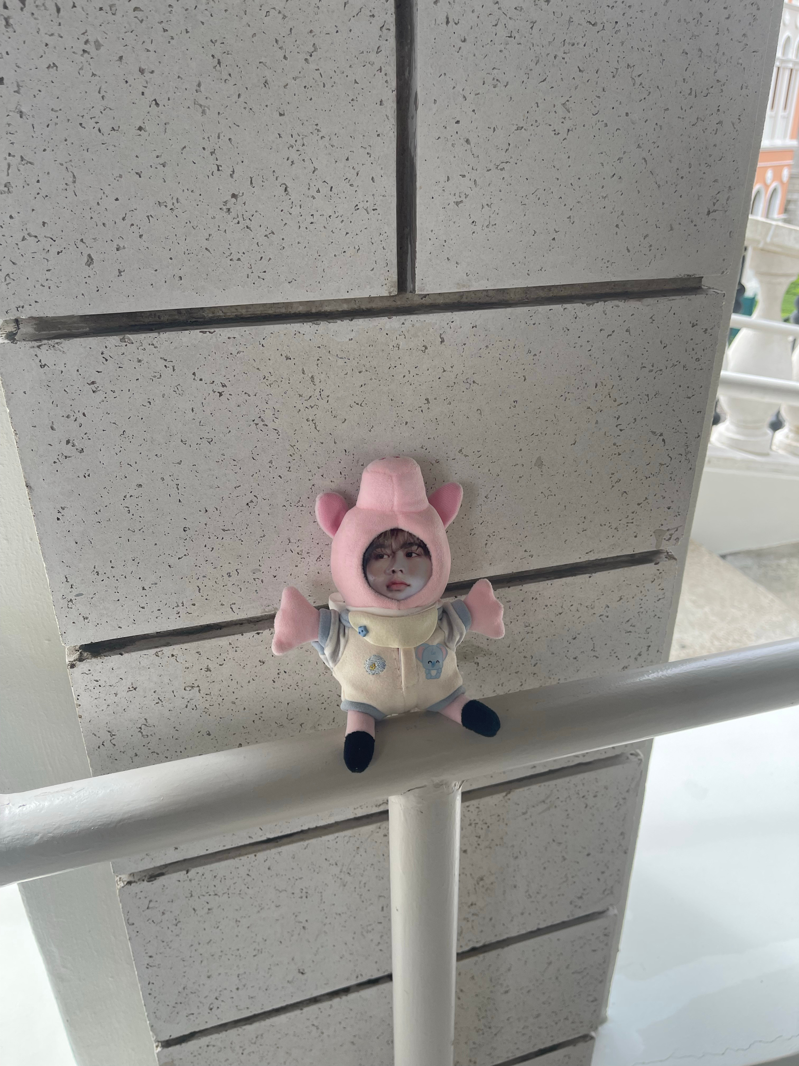 帮忙发一下谁的猪丢了去威尼斯人找保安要