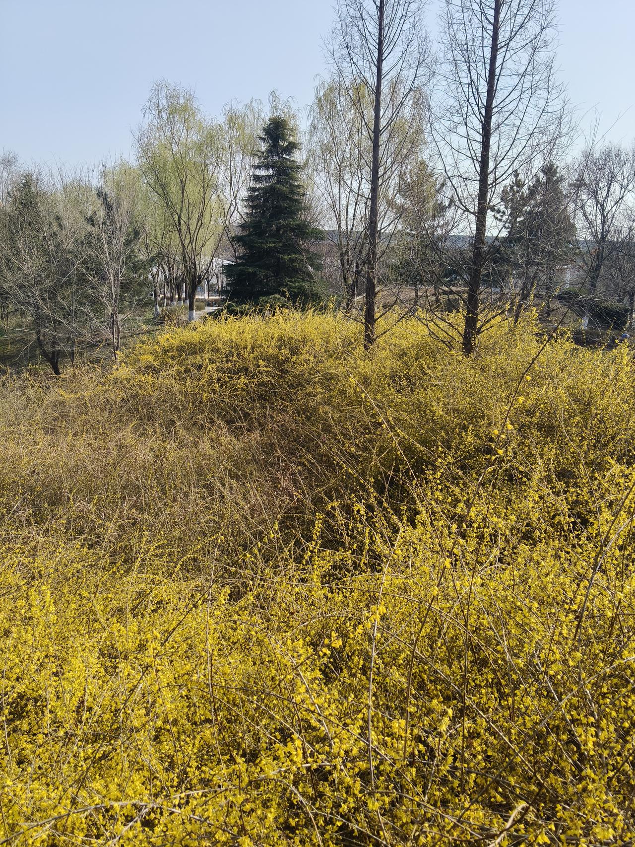 村子里最快乐的人上午回村里看望老母亲，出门倒垃圾的时候，遇到了村子里的"守