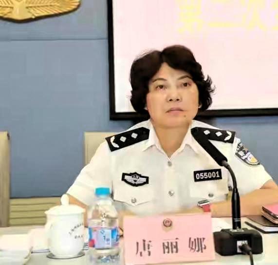唐丽娜曾任上海市奉贤区副区长、上海市公安局奉贤分局党委书记、局长。2007年