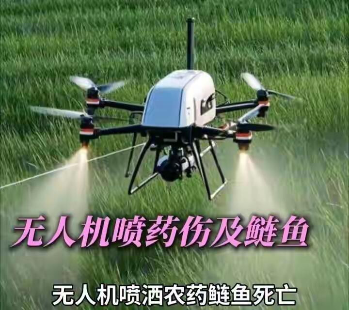 3月26号一大早，河南南阳唐河县毕店镇的老王，跟平时一样去自家鱼塘转悠。还没走到