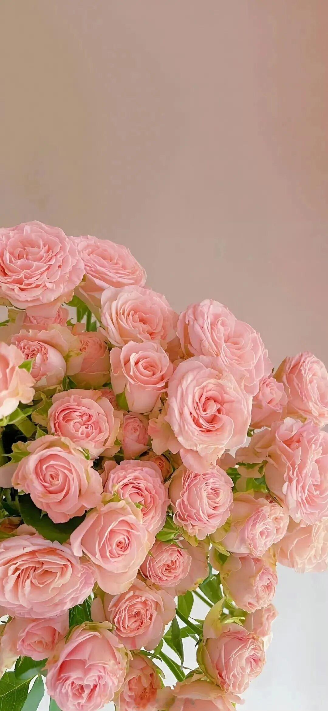 “人生是你自己的，没有人会给别人丢人。”——《那个不为人知的故事》早安言情小说