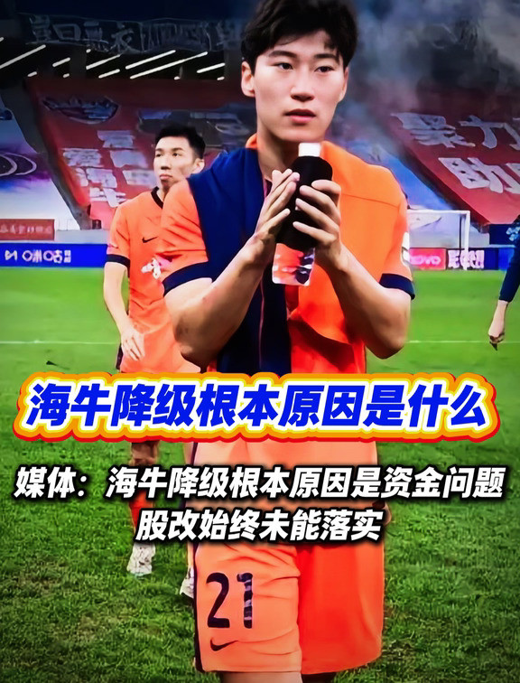 你认为海牛降级的根本原因是什么呢？