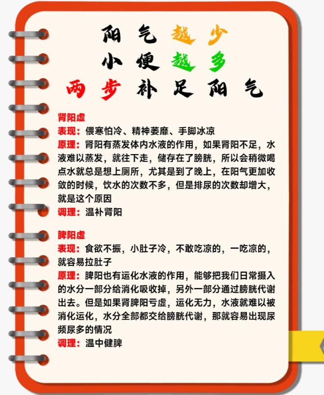 阳气不足，小便频繁，两步帮你补足阳气