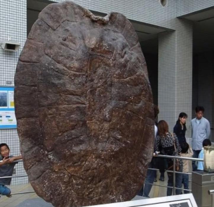 1994年5月，江苏盐城千秋大桥施工现场，竟然发生一件离奇怪事，早起的工人们更是
