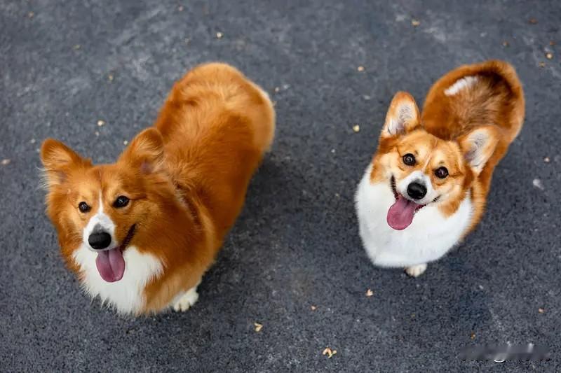 1、判断一个人是城府深还是头脑简单，其实只看一点就够了：看他在被批评甚至被羞辱后