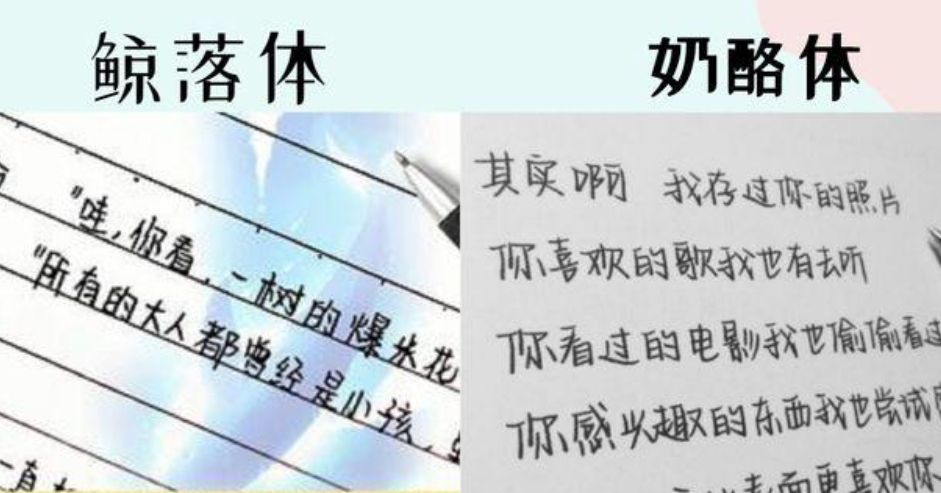 "奶酪体"已过时, 高中生苦练"鲸落体", 唯美字迹征服阅卷老师