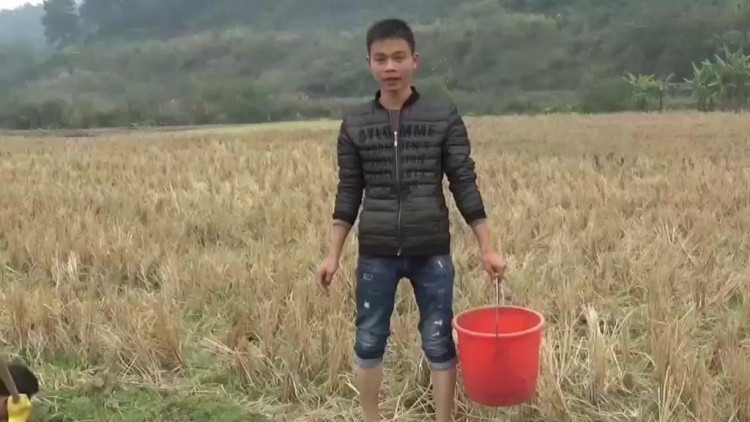 农村小伙稻田里搞野味,一桶水灌下去,野货满地跑!