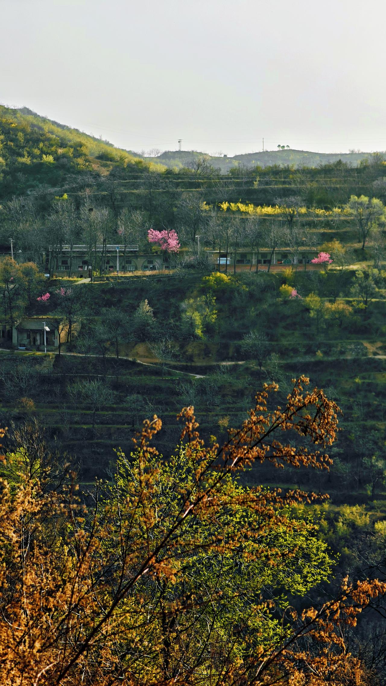 就喜欢随手拍拍，你们不喜欢的可以直接划走。爱上手机摄影