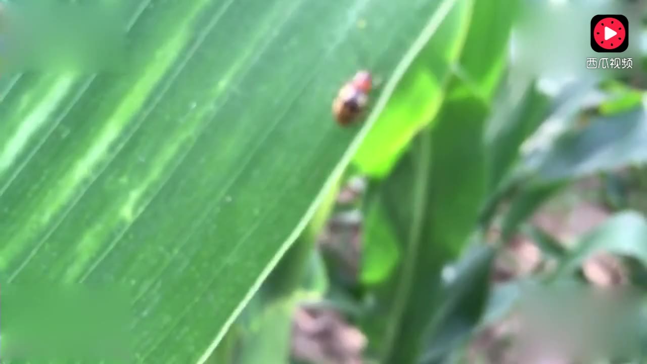 56756758870057570.jpg?id=0