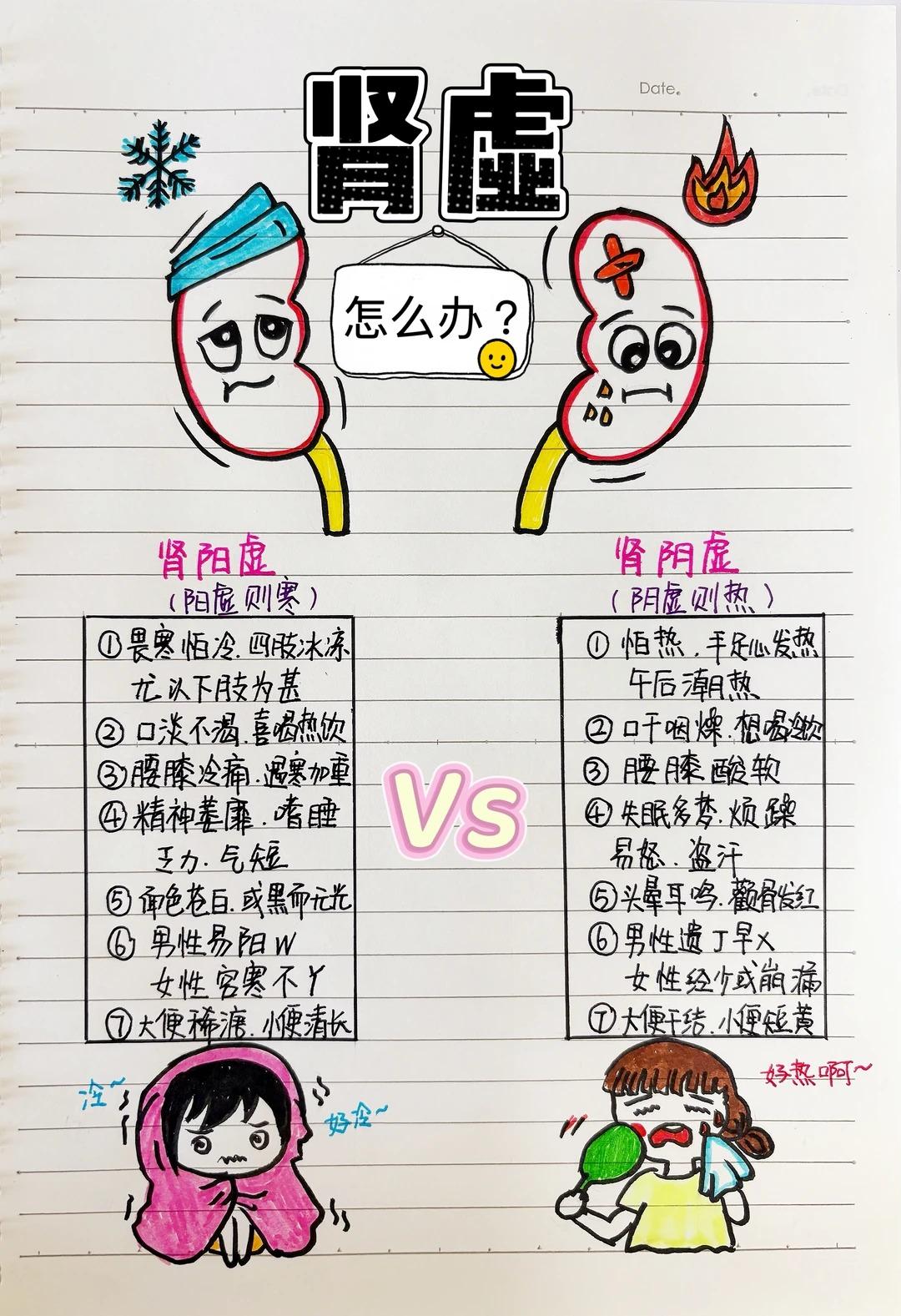 肾虚该如何调理？中医辨证科普