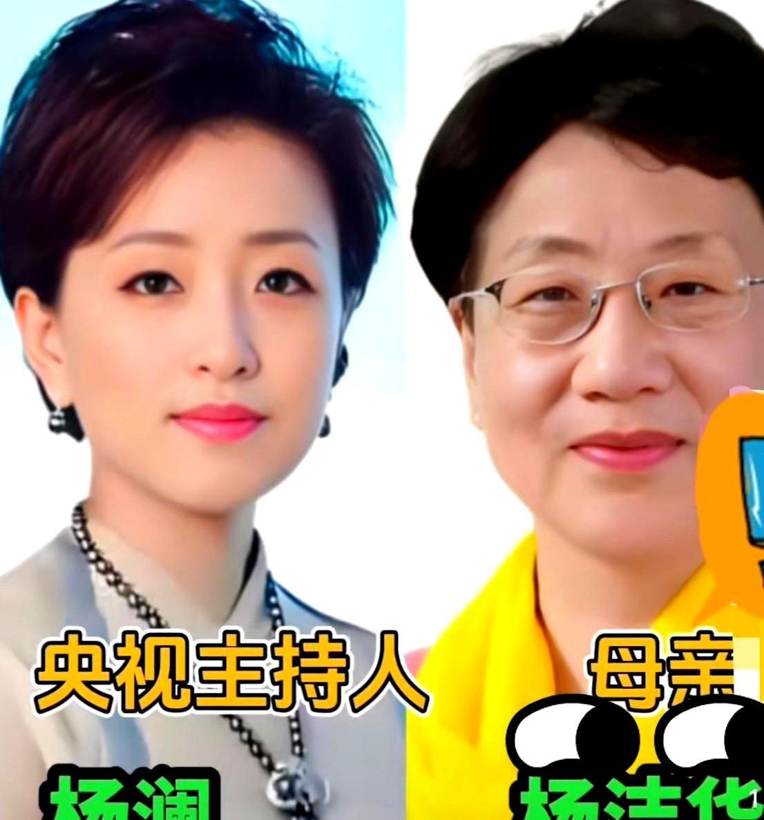 看了几位央视名嘴和他们母亲的故事，感觉挺真实的，家家都有本难念的经。就说倪