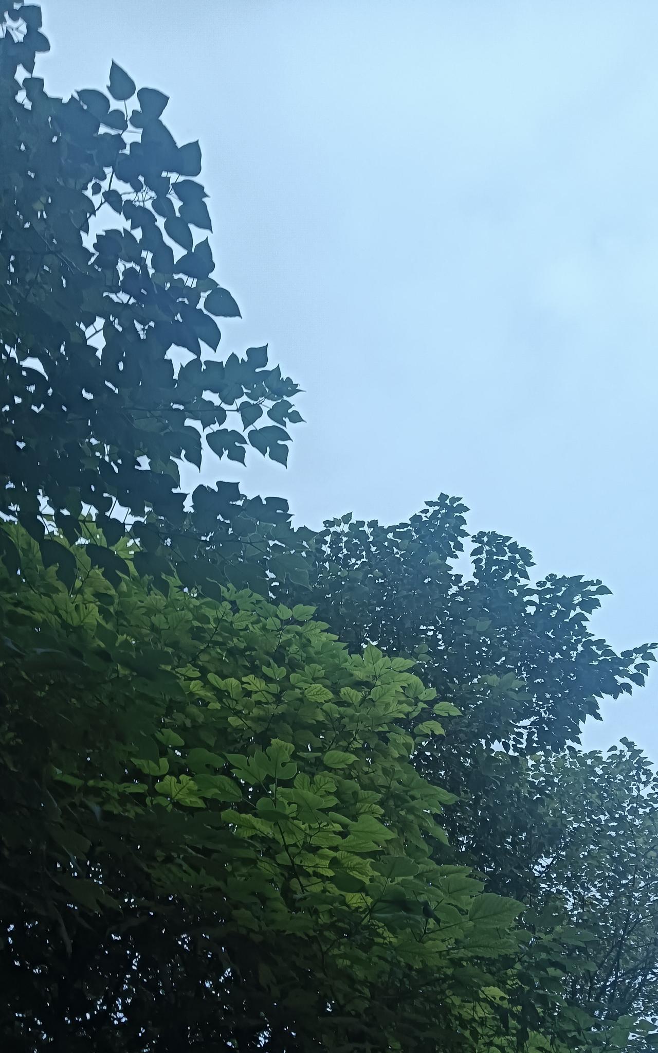 邻居走后，老婆叹了口气，咋还有这样的人呢？上午和邻居聊天，老婆在一旁摘菜，邻居