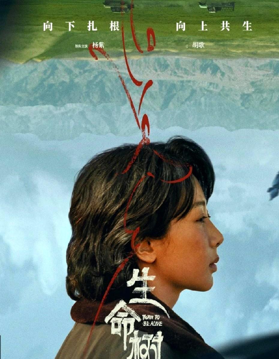 2026开年，网友甩出一张“新四大扛剧女王”名单：赵丽颖、杨幂、杨紫、白鹿。