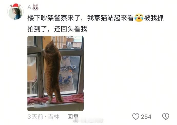 《一生爱看热闹的中国人》​​​